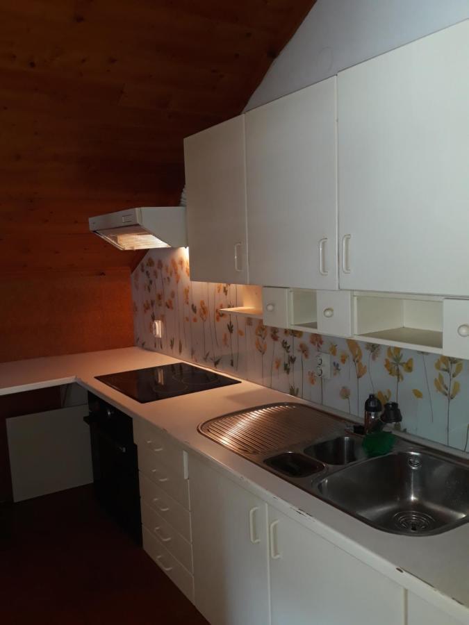 Apartma 27 クランスカゴーラ エクステリア 写真